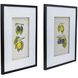 Smithsonian Black and Green/Yellow Wall Art, Assorted Fruit
