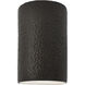 Ambiance Cylinder LED 5.75 inch Hammered Iron Wall Sconce Wall Light, Small