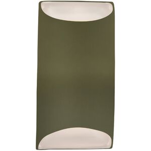 Ambiance 1 Light 5.5 inch Matte Green Wall Sconce Wall Light