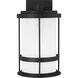 Wilburn 1 Light 13.5 inch Black Outdoor Wall Lantern, Medium