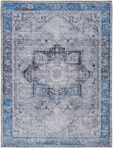 Amelie 35 X 24 inch Pewter Rug, Rectangle