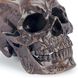 Skull 6.25 X 5 inch Sculpture