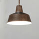 Pier M 1 Light 10.25 inch Empire Bronze Outdoor Pendant