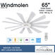 Windmolen 65 inch Textured White with Bleached Ashwood Blades Outdoor Ceiling Fan