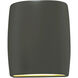 Ambiance Collection LED 10 inch Pewter Green Outdoor Wall Sconce