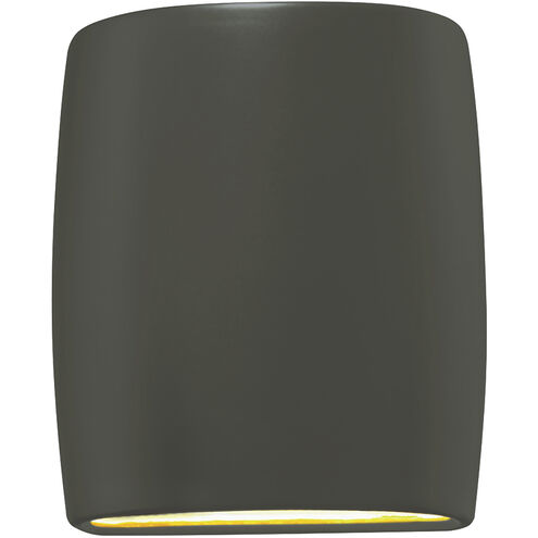 Ambiance Collection LED 10 inch Pewter Green Outdoor Wall Sconce