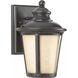 Cape May 1 Light 10.5 inch Burled Iron Outdoor Wall Lantern, Small