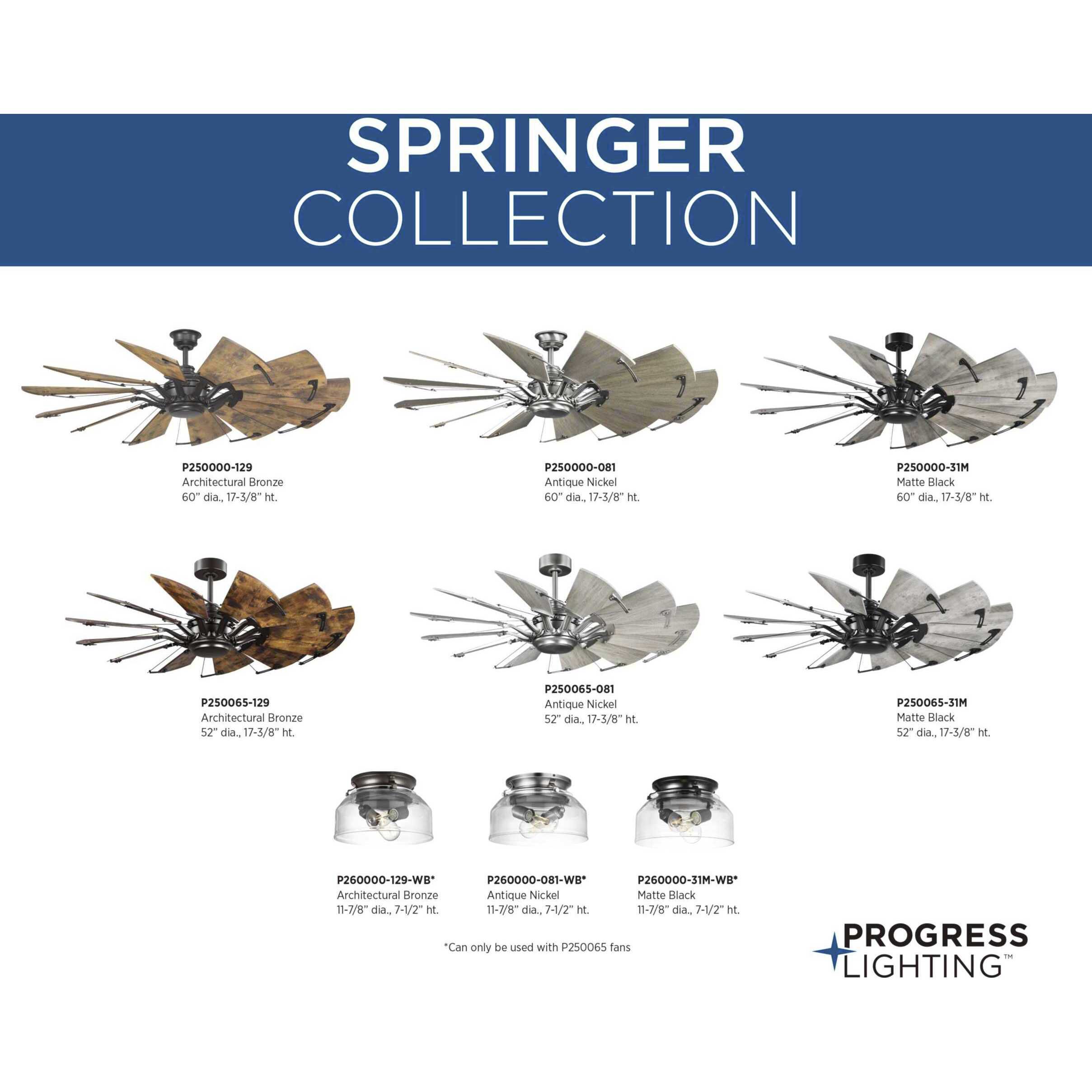 Springer 2 Light Incandescent Matte Black Ceiling Fan Light Kit