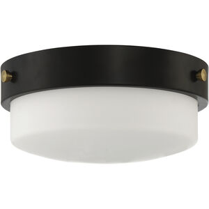 Oak Street 2 Light 11 inch Flat Black Flushmount Ceiling Light