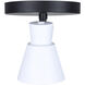 Radley 2 Light Black/White Track Lighting Ceiling Light