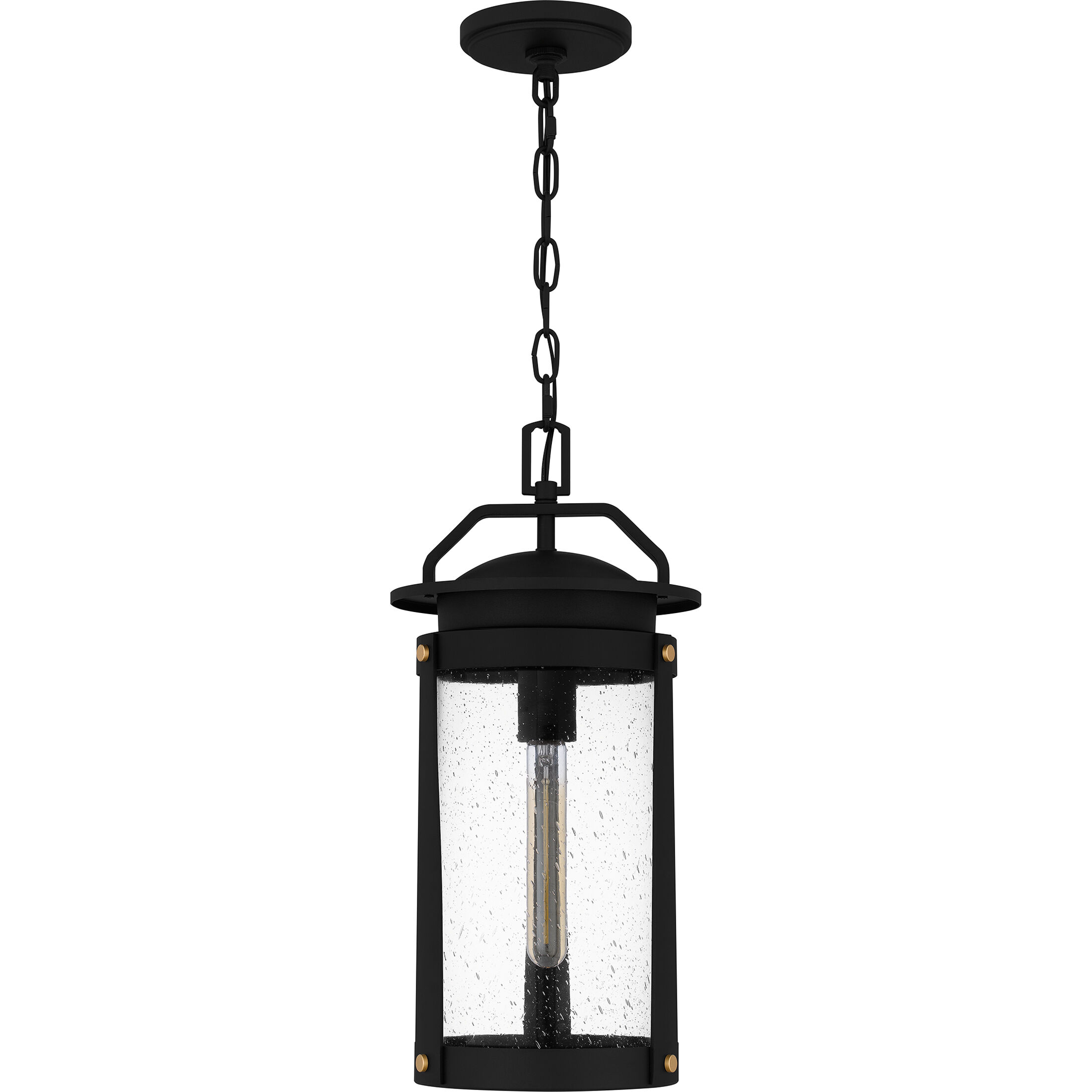 Clifton 1 Light 9 inch Earth Black Outdoor Hanging Lantern