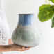 Gradient 7.9 X 7.3 inch Vase
