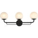 Whitehall 3 Light 28 inch Dark Matte Black Vanity Light Wall Light