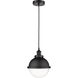 Edison Hampden 1 Light 9 inch Matte Black Mini Pendant Ceiling Light