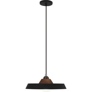 Mavisten Edition Far LED 14 inch Black Pendant Ceiling Light