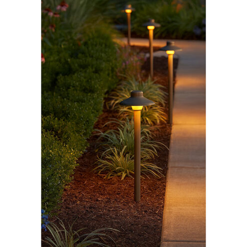 Hardy Island Standard 12v 1.50 watt Matte Bronze Landscape Path Light