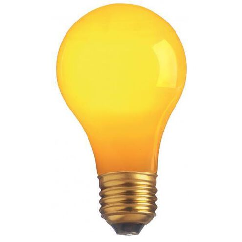 Lumos Incandescent A19 Medium E26 25 watt 130V Light Bulb
