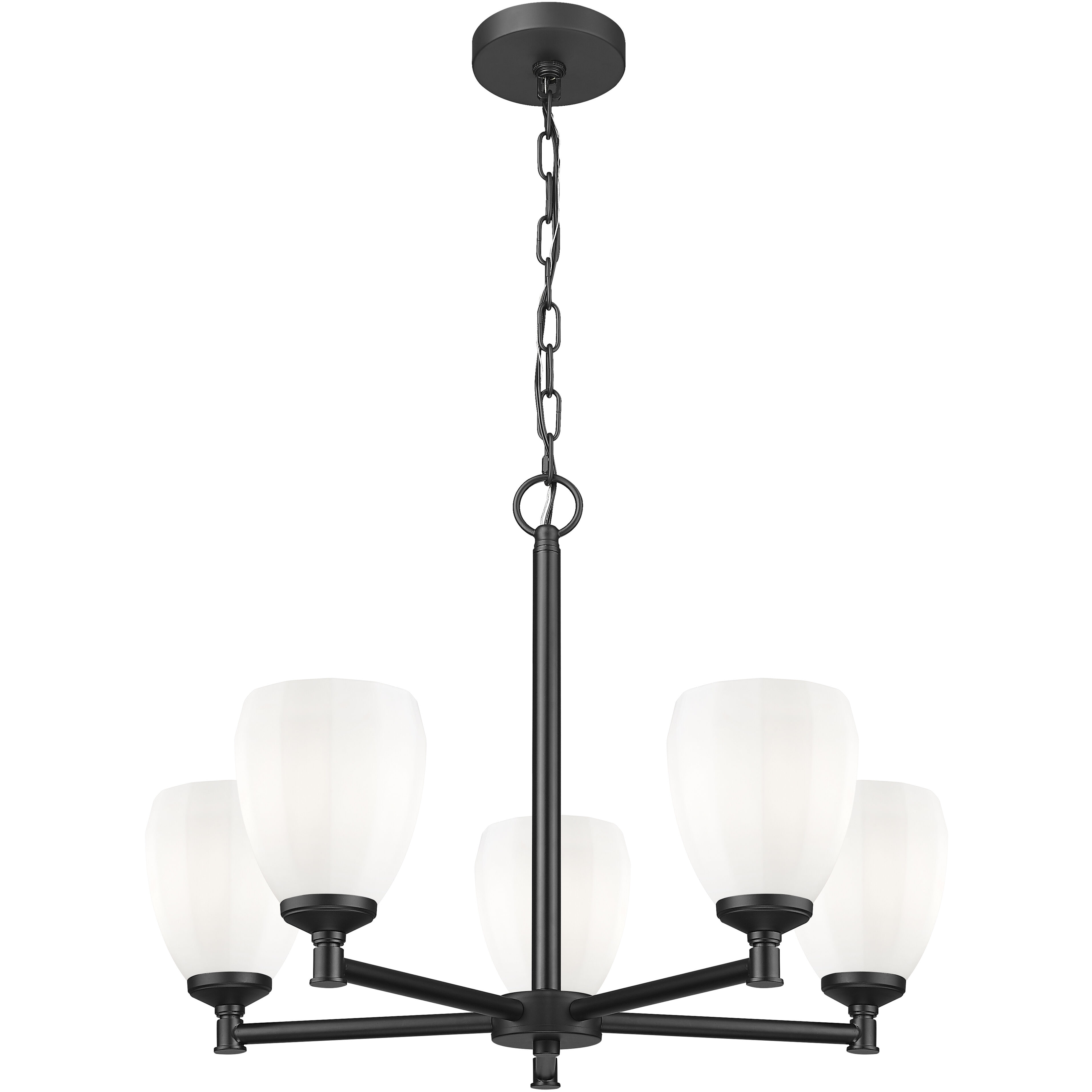 Oren 5 Light 25 inch Matte Black Chandelier Ceiling Light