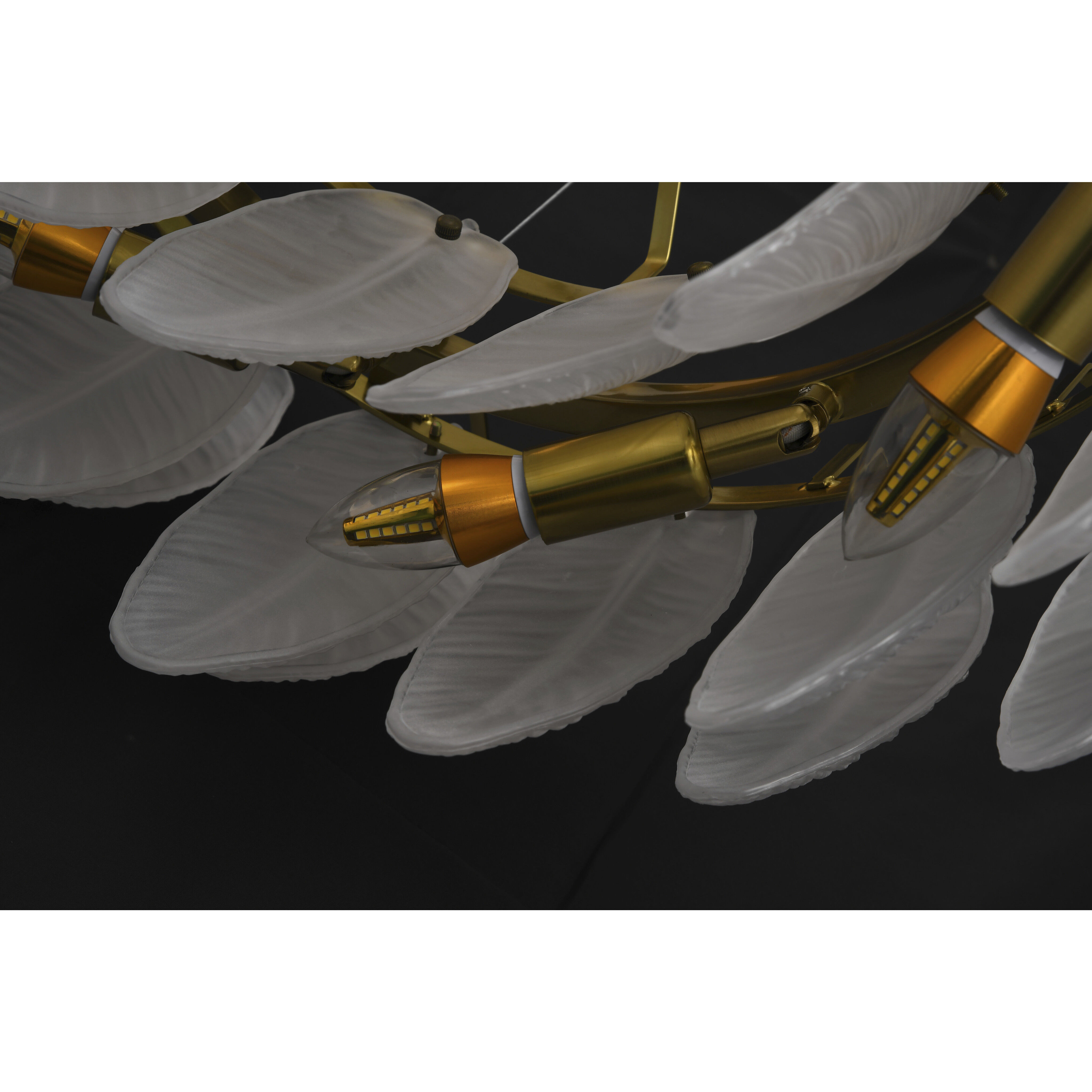 Canada 16 Light 23.6 inch Brass Chandelier Ceiling Light