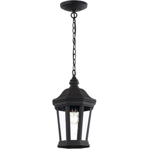 Westfield 1 Light 10 inch Black Outdoor Hanging Lantern 