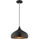 Allison 1 Light 12 inch Shiny Black Mini Pendant Ceiling Light