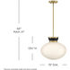 Lucy 1 Light 15 inch Black with Lacquered Brass Pendant Ceiling Light
