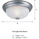 Decorative 2 Light 11 inch Pewter Flushmount Ceiling Light in White Alabaster, Small