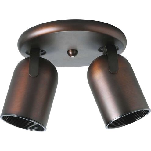 Directional 2 Light 9 inch Urban Bronze Multi Directional Wall/Ceiling Light