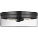 Fiona 2 Light 14 inch Matte Black Flush Mount Ceiling Light