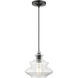 Everett 1 Light 9 inch Shiny Black with Chrome Finish Accents Pendant Ceiling Light