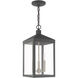 Nyack 3 Light 8 inch Scandinavian Gray Outdoor Pendant Lantern