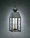 Woodcliffe 3 Light 8 inch Antique Copper Hanging Lantern Ceiling Light in Clear Glass