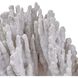 Coral Natural Coral Objet, Large