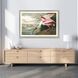 Animals Collection Multi Framed Art