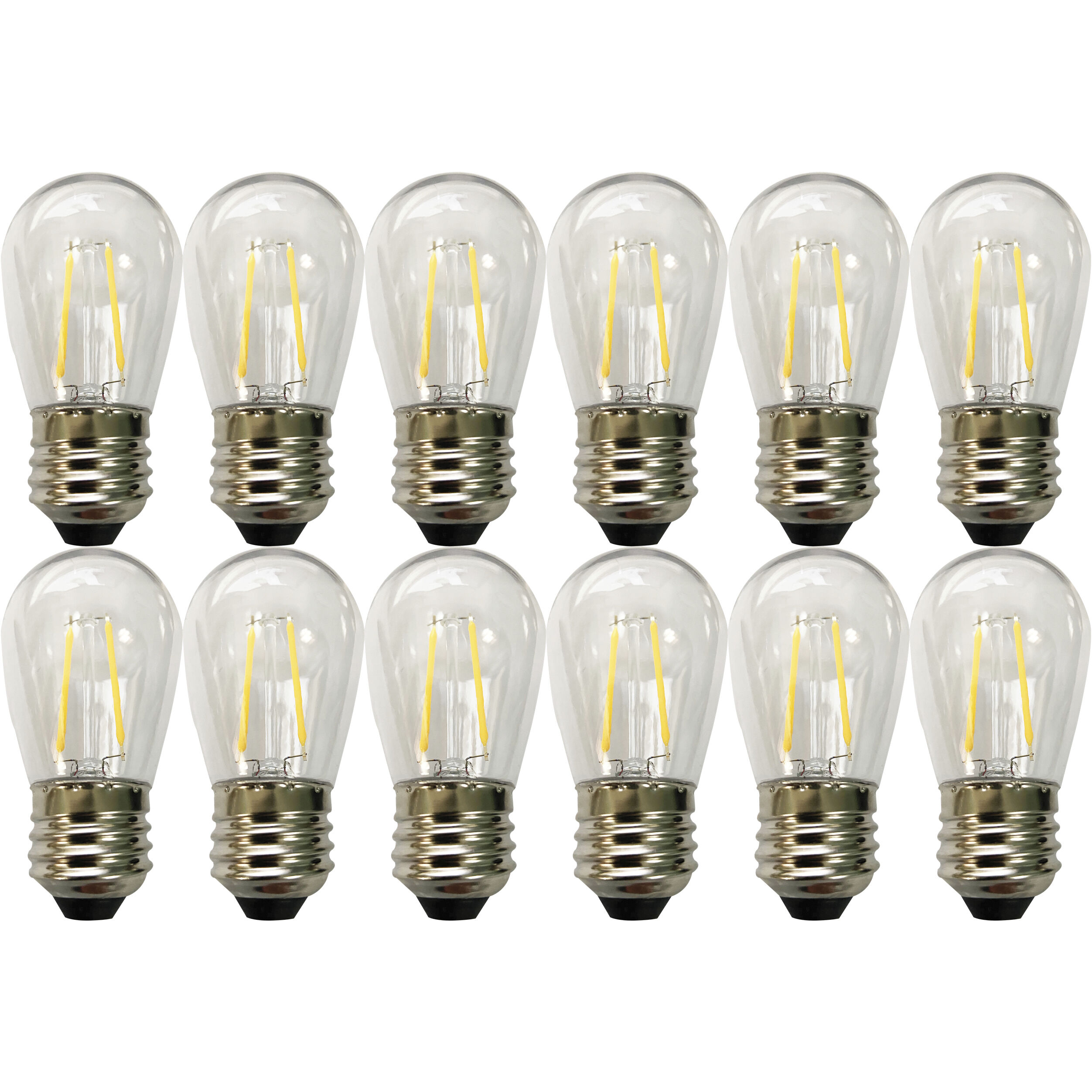 Edgewood 12 Light LED 24 foot Black LED String Light