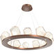 Gem LED 37.4 inch Burnished Bronze Chandelier Ceiling Light in Amber, 2700K LED, Ring