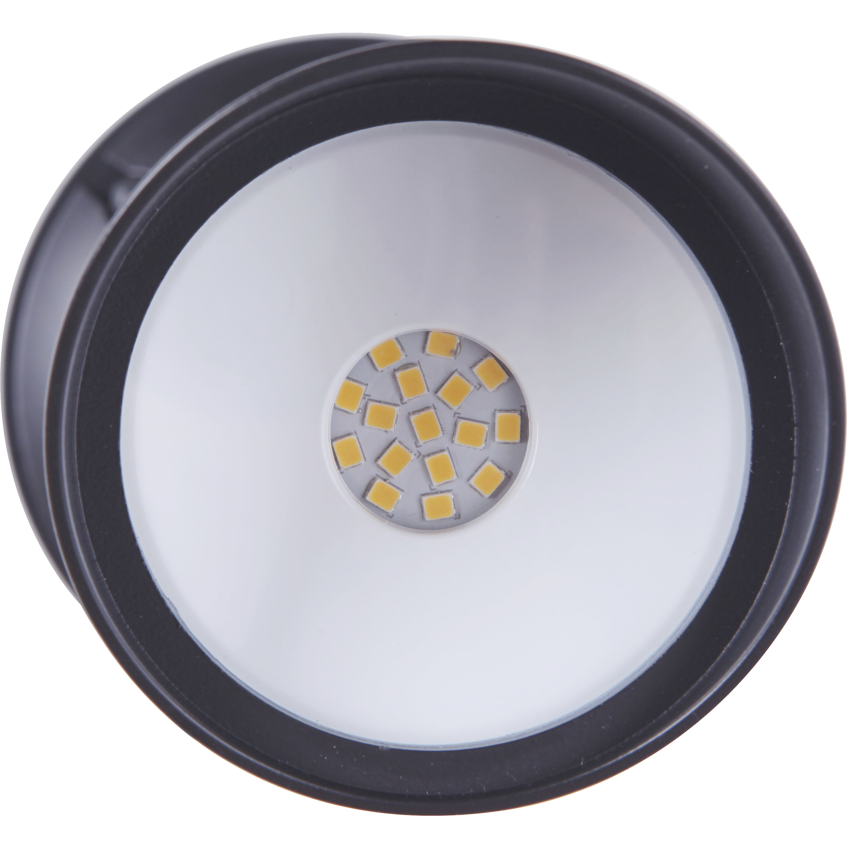 Bejamin LED Bronze Outdoor Flood