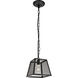 Talon 1 Light 9.8 inch Matte Black Pendant Ceiling Light