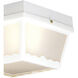 Wavy 2 Light 10 inch White Outdoor Flush Mount
