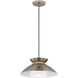 Fusion Collection 1 Light 14.25 inch Brushed Brass Pendant Ceiling Light, Noreen Family