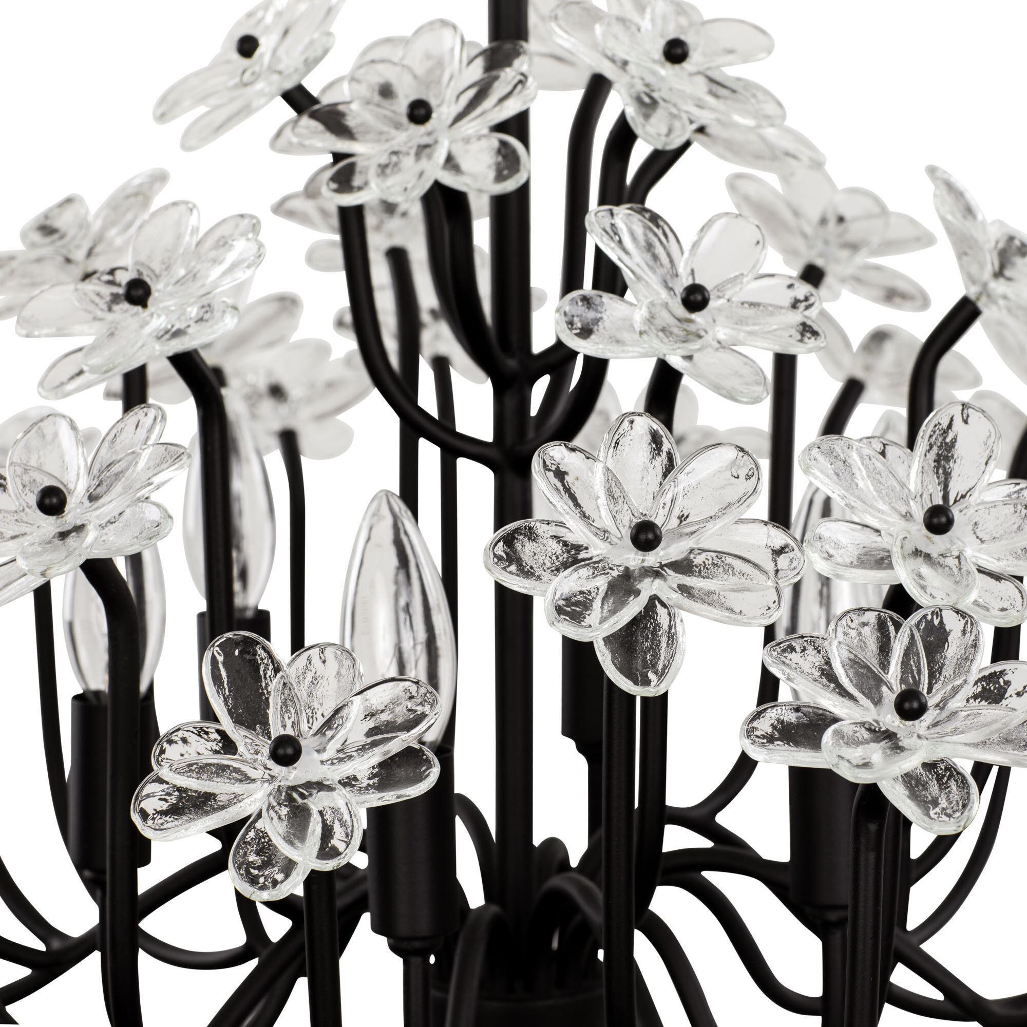 Wildflower 6 Light 26 inch Matte Black Chandelier Ceiling Light, Smithsonian Collaboration