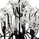 Wildflower 6 Light 26 inch Matte Black Chandelier Ceiling Light, Smithsonian Collaboration