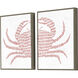 Spotted Crab / Spotted Lobster 16 X 12 inch Non-Glass Framed Art, Propac