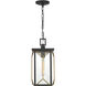 Hillside Manor 1 Light Black Outdoor Chain Hung, The Great Outdoors