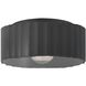 Radiance 1 Light 13 inch Carbon Matte Black Flush Mount Ceiling Light