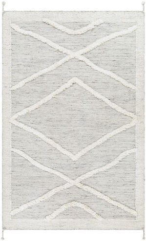Tripoli 36 X 24 inch Beige Rug, Rectangle