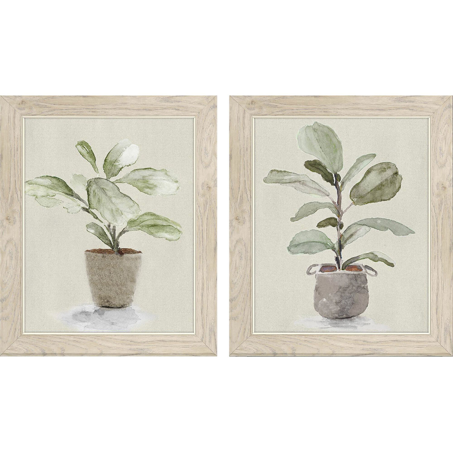 Florals Green and Gray and Brown and Neutral Framed Art, Propac