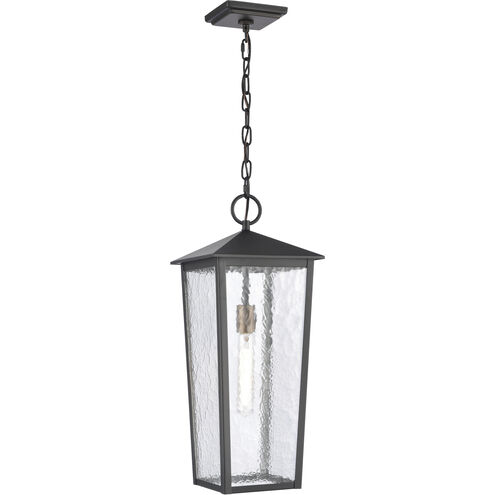 Marquis 1 Light 9 inch Matte Black with Chemical OZ Outdoor Pendant