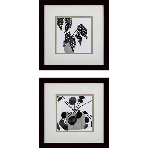 Plantling Black and White and Brown Framed Art