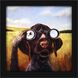 Animals Collection 11 X 11 inch Non-Glass Framed Art